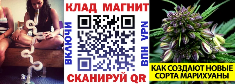 Хочу наркоту Харовск ГАШ Бошки Шишки Псилоцибиновые грибы АМФЕТАМИН МДМА A PVP Меф мяу мяу