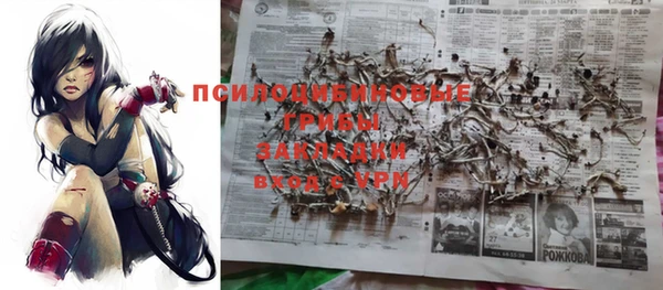 бутират Алзамай